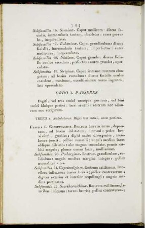 Ordo 3. Passeres