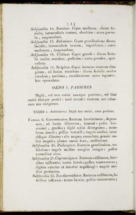 Ordo 3. Passeres