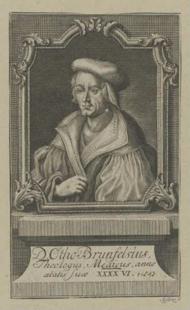 Bildnis des Otho Brunfelsius
