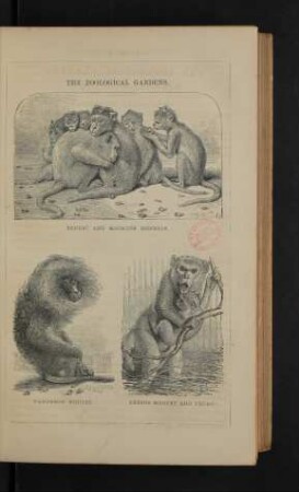 Tafel: The zoological gardens. [1]
