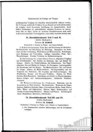 VIII. Eisenhüttenwesen