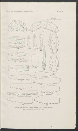 Plate 8. - Arrow and javelin heads, saws etc. Fayum, Egypt.