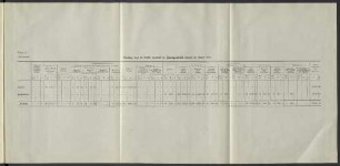 Belastung durch die Unfälle innerhalb der Zweiganstalt während des Jahres 1915.