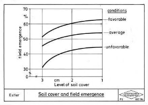 Soil cover and field emergence