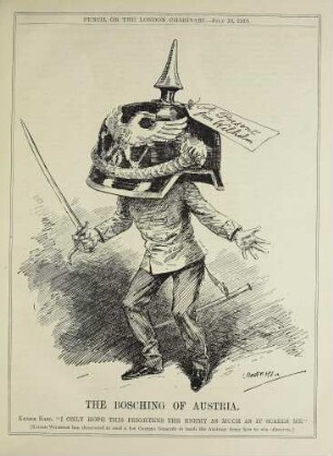 The Bosching of Austria