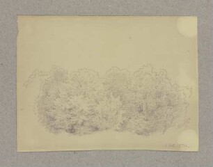 Strauchwerk