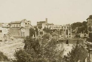 Rom. Forum Romanum. Blick zum Kolosseum