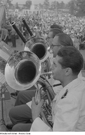 Blick auf Mitglieder eines Orchesters