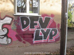 DFV LYP