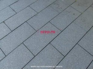 REVOLTE 0221
