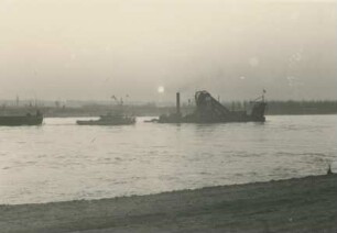 Rheindüker, 1960