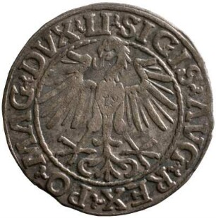 Münze, Kwartnik, 1548