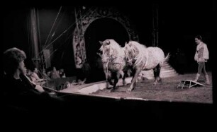 Circus Krone, Hannover, 1982
