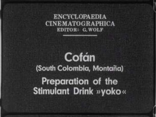Cofán (South Colombia, Montaña) - Preparation on the Stimulant Drink »yoko«