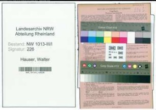 Entnazifizierung Walter Hauser , geb. 25.01.1905 (Konstrukteur)