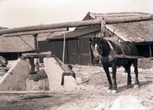 Glindow: Pferd am Drehbrunnen einer Ziegelei in Glindow