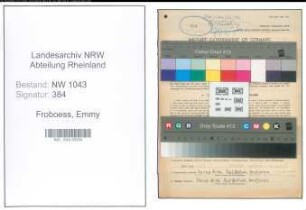 Entnazifizierung Emmy Froboess , geb. 09.07.1892 (Lehrerin)
