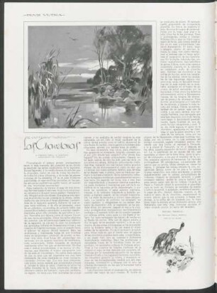 De las tierras tropicales - Las "Chavelonas" : A Clemente Onelli, el admirable aguafortista del zoológico, dibujos de Peláez