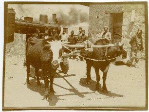 amman [Tscherkessenwagen, Bahnhof, Amman]in Bestand von rund 5.000 nach Themen und Orten sortierten Kleinbildabzügen14Schenkungtruefalsetrue20.04.190721.04.190720./21. April 19071940 130578130578@f2a3e3a5-ea30-4c28-8c44-c595f92c9ef250140GDIp02814Fotografie175/3, 41, vgl. I XV 14, GDIp02812amman [Tscherkessenwagen, Bahnhof, Amman]
