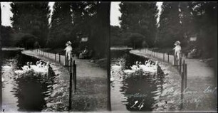 Paris. Bois de Boulogne. Jardin d'Acclimatation
