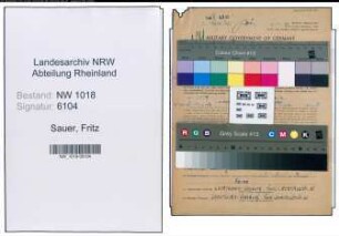 Entnazifizierung Fritz Sauer , geb. 24.09.1910 (Monteur)