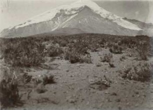 Chimborazo aus Norden vom Fuss der Nordloma aus