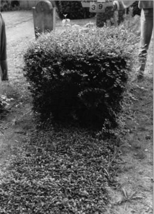 Grabstein 39