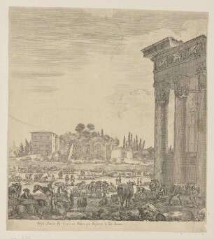 Antoninus-und-Faustina-Tempel und Palatin, Rom