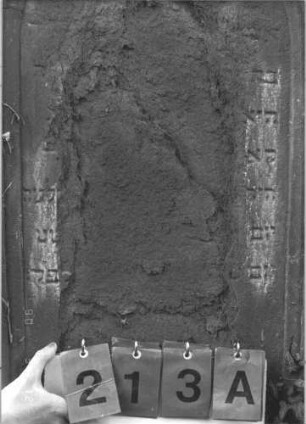 Grabstein 213 (Index: 99785999) Zustand: Inschrift größtenteils abgeblättert Maße HxBxT: 172x67x24 cm: Grabstein 213A