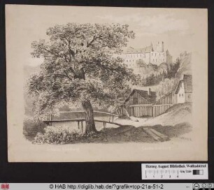 Schloss Eichburg.
