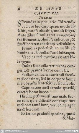 CAPUT VII. De carne.