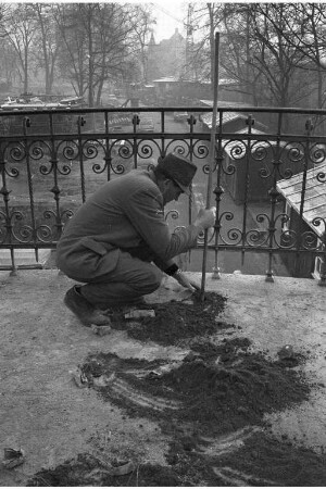 Sprengung der alten Stadtgartenbrücke über den Tiergartenweg.