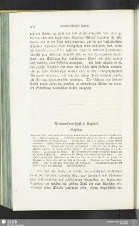Neununddreißigstes Kapitel. Erzgänge