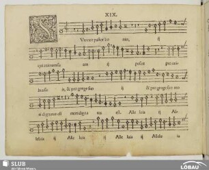 XIX. Surrexit pastor bonus