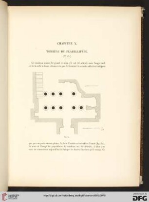 X: Tombeau du Flabellifère