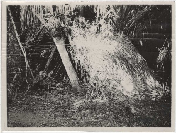 Guató hut on the Alto Paraguay