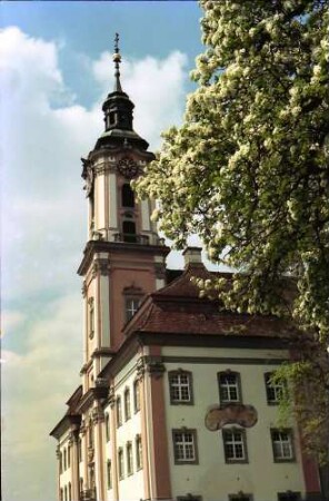 Birnau: Kirche Birnau, Kirchturm mit Blütenbaum