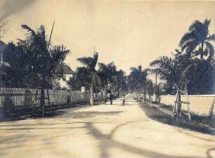 Colombo, Sri Lanka. Straße mit Wohnhäusern und Palmen