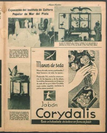 Exposición del Instituto de Cultura Popular de Mar del Plata [Fotografías]