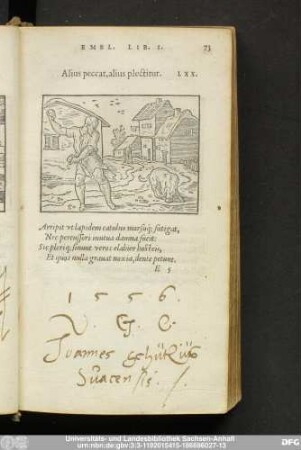 Alius peccat,alius plectitur. LXX.