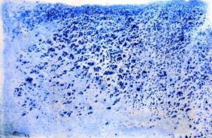 KU-CHEN # MCCCXXIII - BLEUAILLE CXIX: SCHAUER MIT 1NEM HAGELKORN