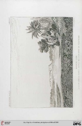 Planches I – XV