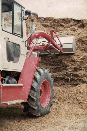 Fotografie: Flachsilo, Frontlader, Silageentnahme