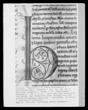 Homiliae Origenis — Initiale H (istoria), Folio 30 recto