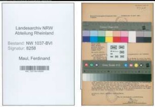 Entnazifizierung Ferdinand Maul , geb. 29.09.1906 (Buchhaendler)
