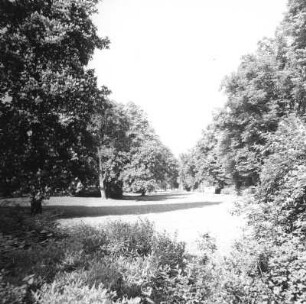 Cottbus-Mitte, Puschkinpromenade. Parkanlage von Osten