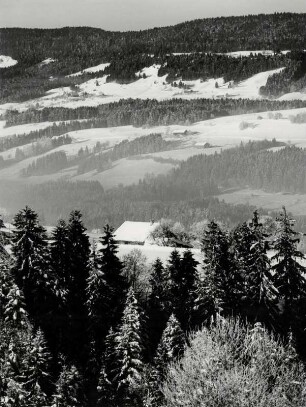 Winterlandschaft bei Weiler