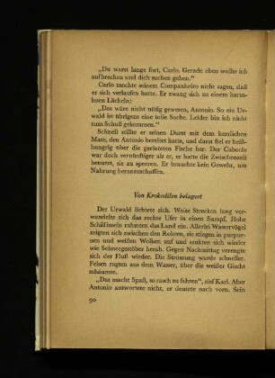 Von Krokodilen belagert