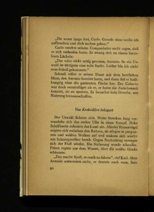Von Krokodilen belagert