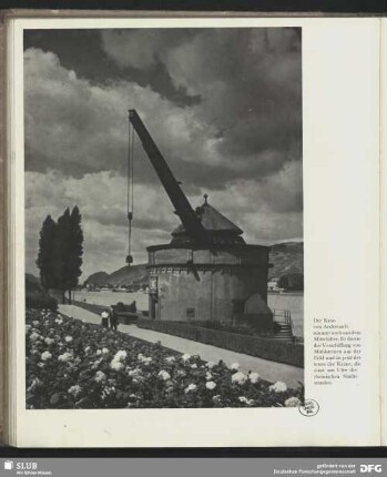Kran von Andernach